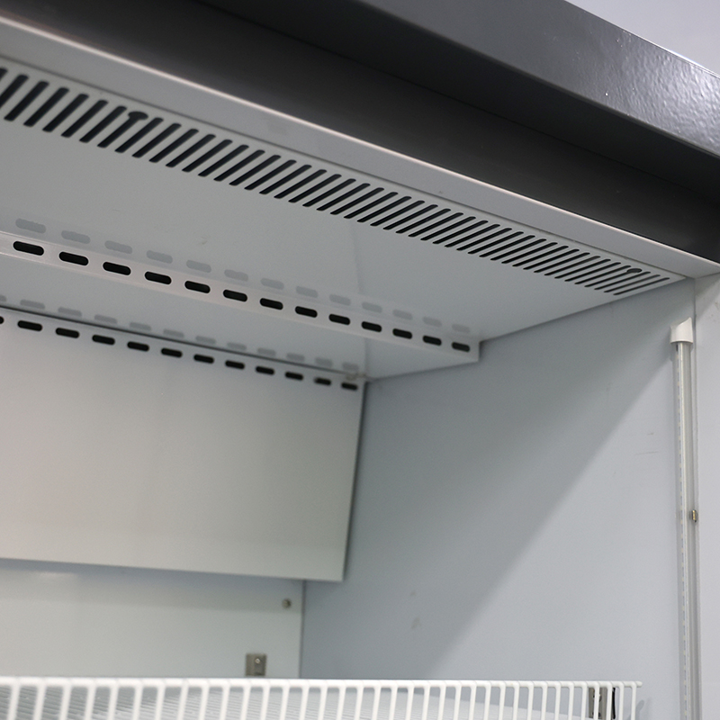 Glass Door Freezer
